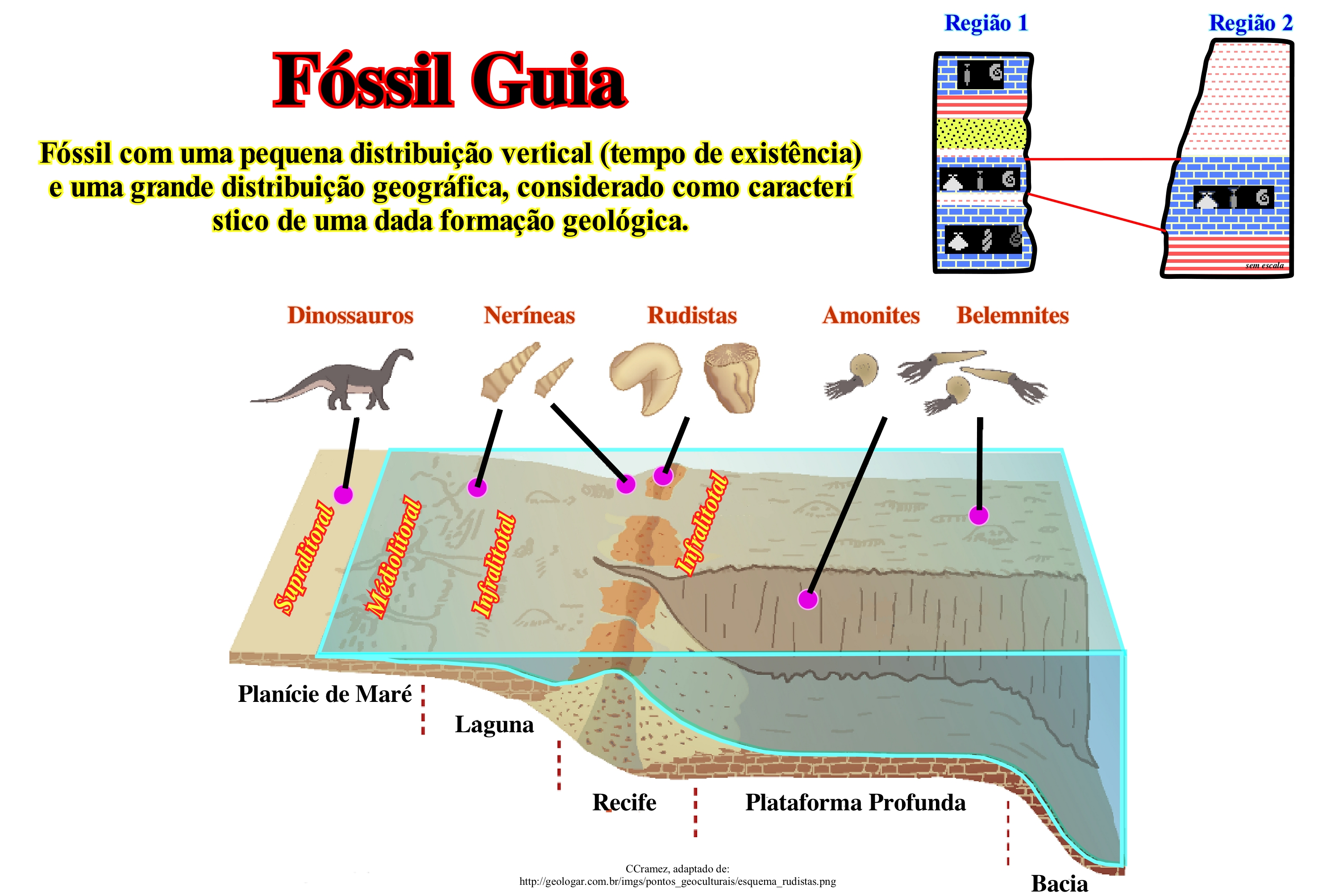 Lei Da Superposicao De Fosseis R/sciencememes